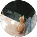 Trian profile picture